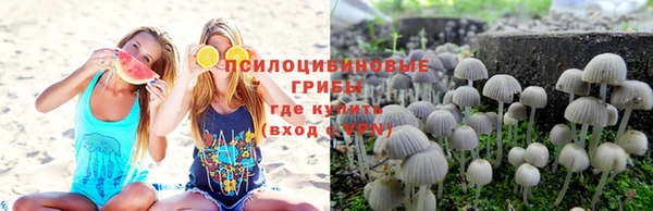 наркотики Алексеевка