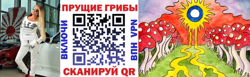 Псилоцибиновые грибы прущие грибы hydra как зайти площадка телеграм Омутнинск